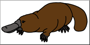 Clip Art: Platypus color
