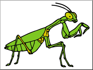 Clip Art: Insects: Praying Mantis Color