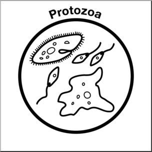 Clip Art: Soil Ecology Icons: Protozoa B&W