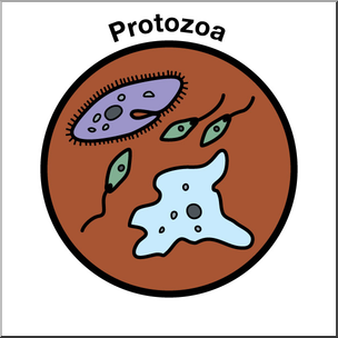 Clip Art: Soil Ecology Icons: Protozoa Color