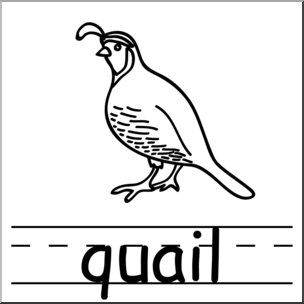 Clip Art: Basic Words: Quail B&W Labeled