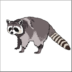 Clip Art: Raccoon Color 2
