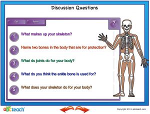 Interactive: Notebook: Reading Comprehension: The Human Body (Cells, Bones and Muscles)