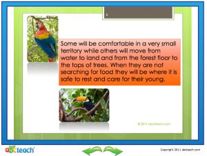 Interactive: Flipchart: Reading Comprehension: Rainforest Biomes