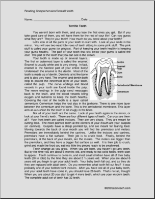 Comprehension: Teeth (upper elem/middle)