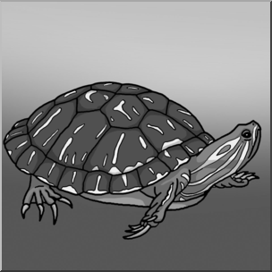 Clip Art: Red Eared Slider Turtle Grayscale