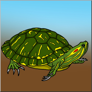 Clip Art: Red Eared Slider Turtle Color