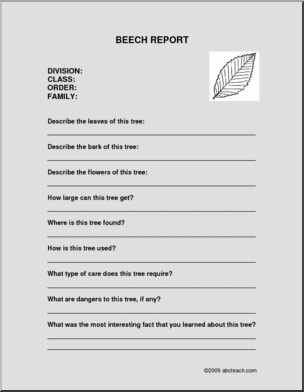 Report Form: Tree – Beech