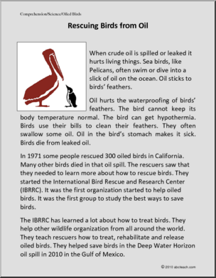 Comprehension: Rescuing Birds from Oil (primary)