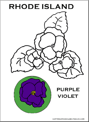 Rhode Island:  State Flower – Violet