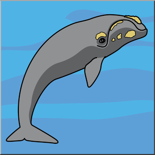Clip Art: Whale: Right Whale Color