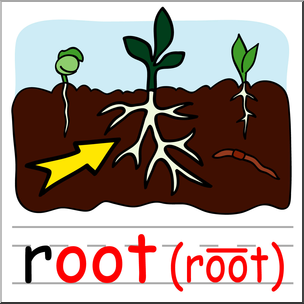 Clip Art: Basic Words: -oot Phonics: Root Color