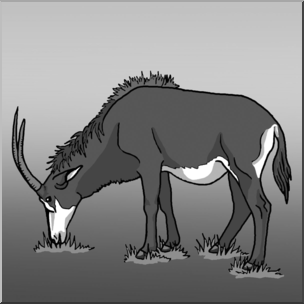Clip Art: Sable Antelope Grayscale