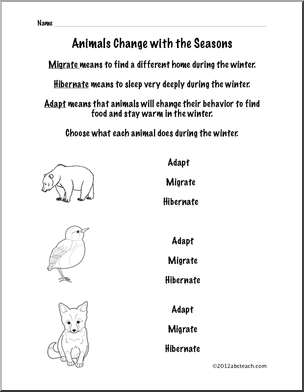 Science: Animal Adaptations Page (Grade 1)