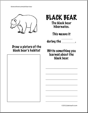 Science: Black Bear Information Page (Grade 1)