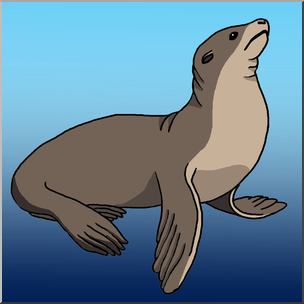 Clip Art: Sea lion Color