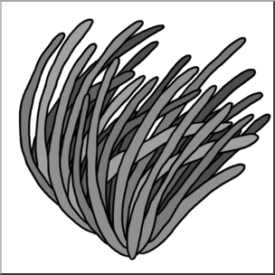 Clip Art: Plants: Seagrass Grayscale