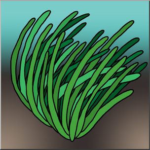 Clip Art: Plants: Seagrass Color 1