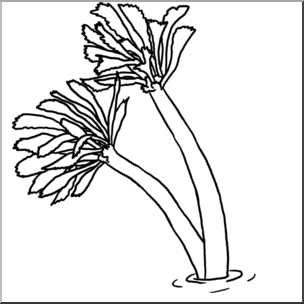 Clip Art: Plants: Sea Palm B&W