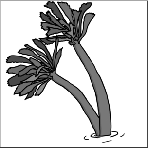 Clip Art: Plants: Sea Palm Grayscale