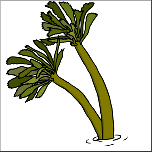 Clip Art: Plants: Sea Palm Color 2