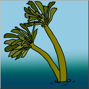 Clip Art: Plants: Sea Palm Color 1