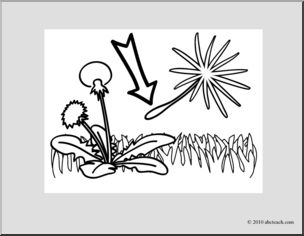 Clip Art: Basic Words: Seed B&W Unlabeled