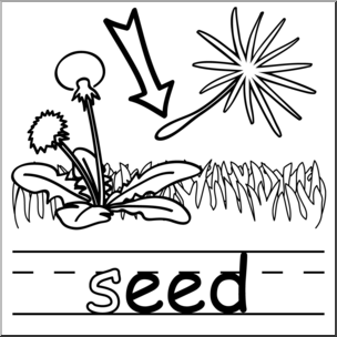 Clip Art: Basic Words: -eed Phonics: Seed B&W