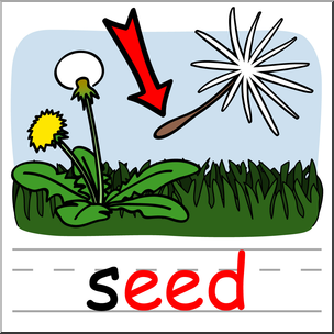 Clip Art: Basic Words: -eed Phonics: Seed Color