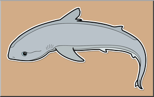 Clip Art: Baby Animals: Shark Cub Color 2
