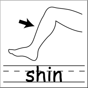 Clip Art: Parts of the Body: Shin B&W