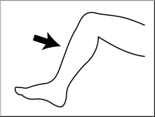 Clip Art: Parts of the Body: Shin B&W Unlabeled