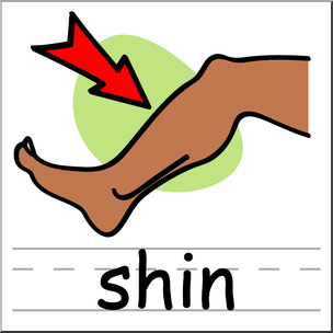 Clip Art: Basic Words: Shin Color Labeled