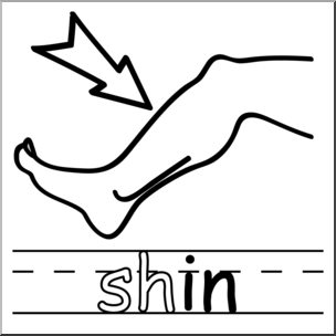 Clip Art: Basic Words: -in Phonics: Shin B&W