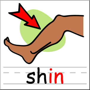 Clip Art: Basic Words: -in Phonics: Shin Color