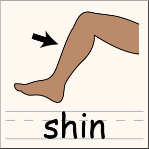 Clip Art: Parts of the Body: Shin Color