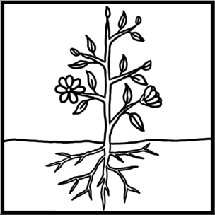 Clip Art: Basic Plant Anatomy Unlabeled B&W