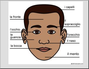Italian: Piccolo Cartellone-la testa umana, etichettato