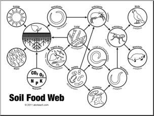 Clip Art: Soil Food Web B&W