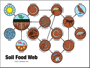 Clip Art: Soil Food Web Color