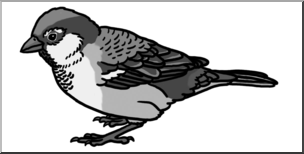 Clip Art: Sparrow Grayscale