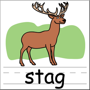 Clip Art: Basic Words: Stag Color Labeled