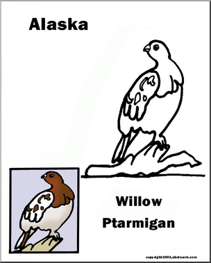 Alaska: State Bird –  Willow Ptarmigan