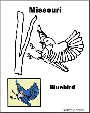Missouri: State Bird – Bluebird