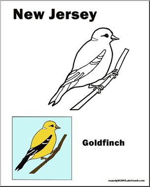 New Jersey: State Bird – Eastern Goldfinch