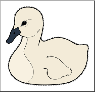 Clip Art: Baby Animals: Swan Cygnet Color 1