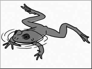 Clip Art: Frog Swimming Grayscale