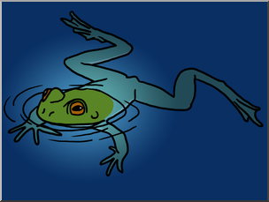 Clip Art: Frog Swimming Color