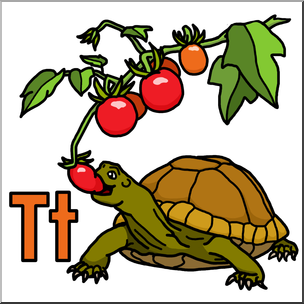 Clip Art: Alphabet Animals: T – Turtle Tastes a Tomato Color