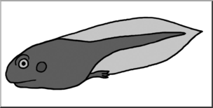 Clip Art: Tadpole with Hind Legs Grayscale